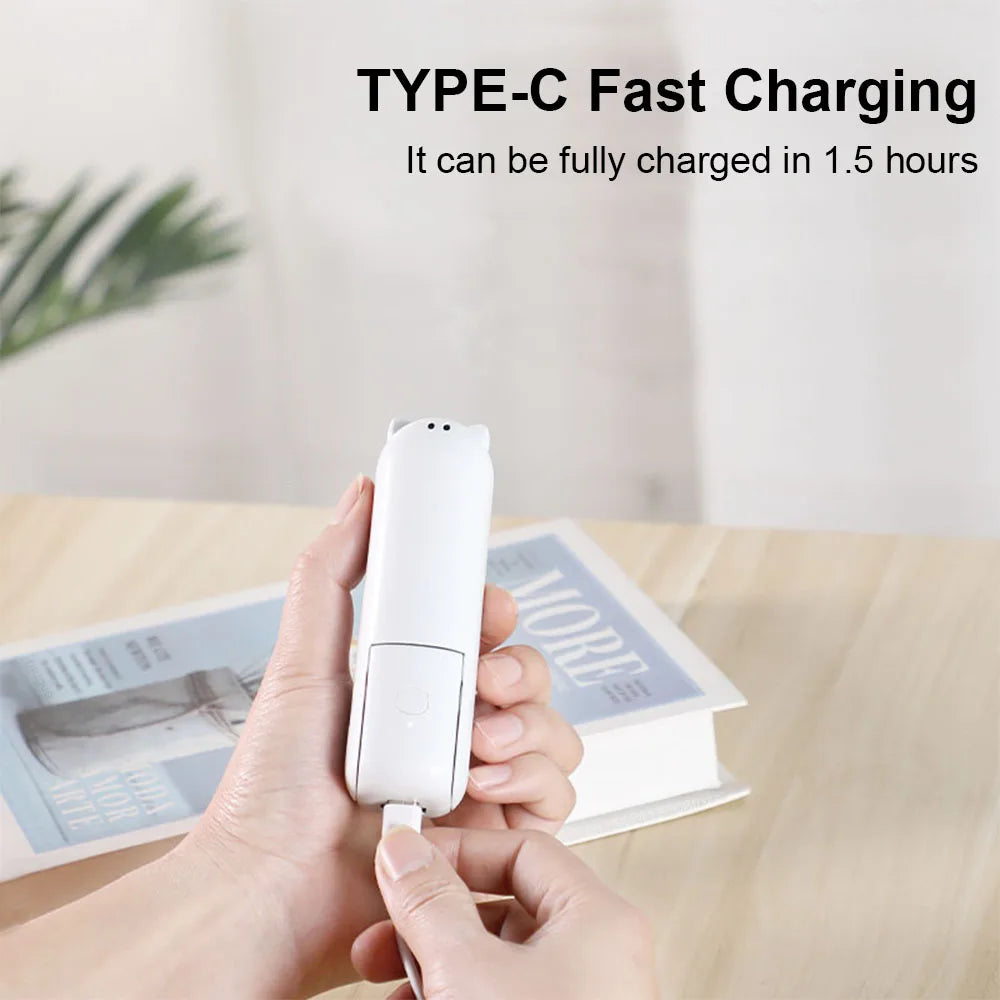 Mini Fan with Power Bank