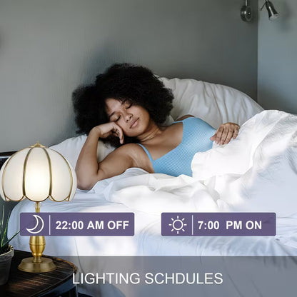 Wave SmartPlug™️ (5-Pack)