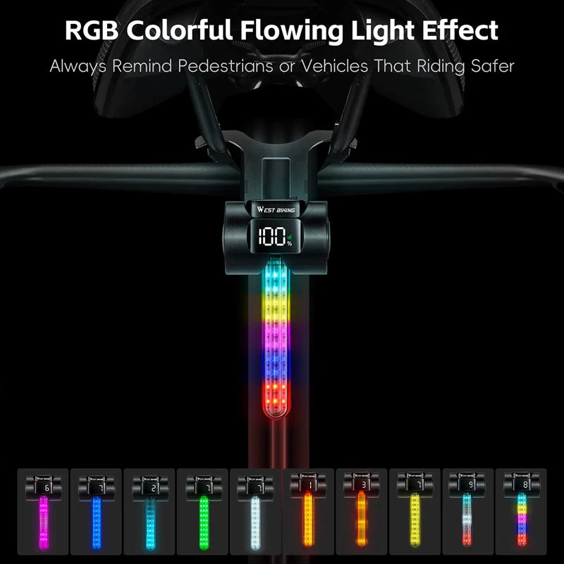 Smart Bicycle Taillight