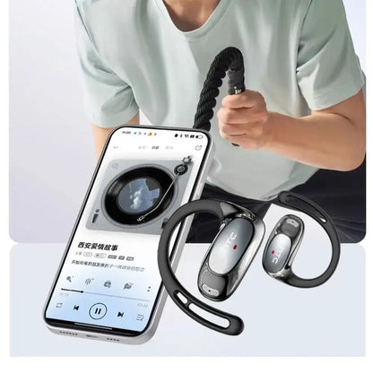Ai Translation Earbuds