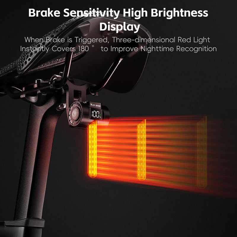 Smart Bicycle Taillight